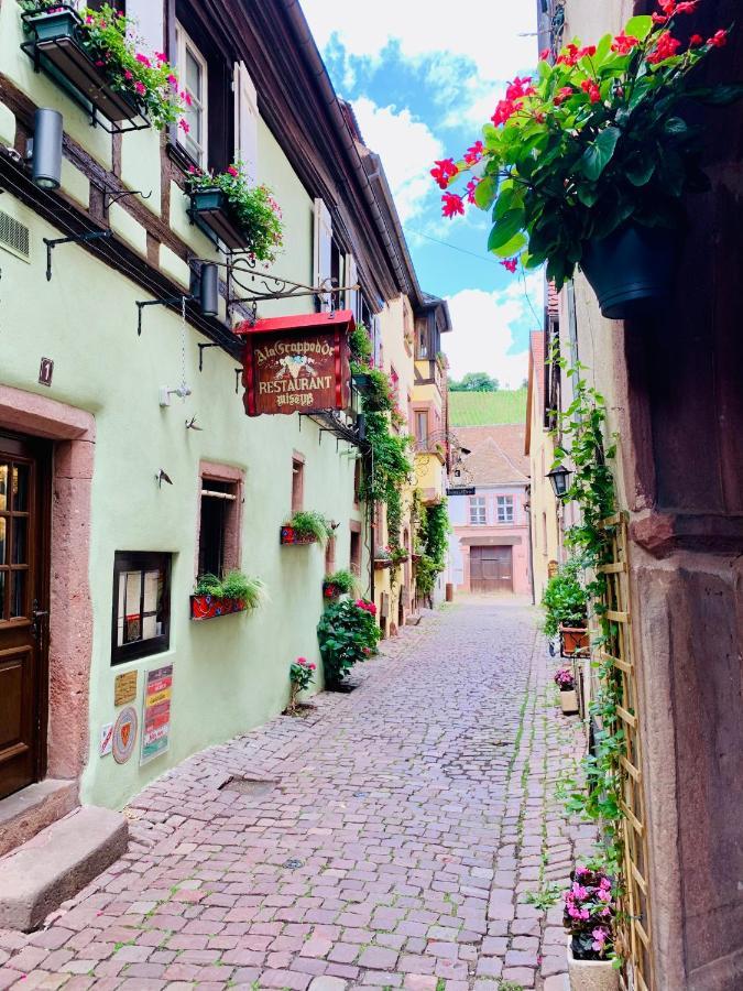 La Ruelle Alsacienne, Charme Alsacien Et Confort Moderne Riquewihr Exteriér fotografie